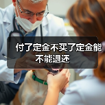 付了定金不买了定金能不能退还（图1）