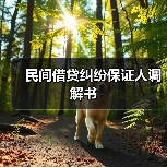 民间借贷纠纷保证人调解书（图3）