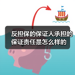 反担保的保证人承担的保证责任是怎么样的（图4）