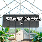 预售商品不退定金违法吗（图2）