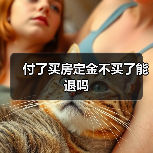 付了买房定金不买了能退吗（图1）