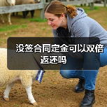 没签合同定金可以双倍返还吗（图3）