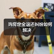 购房定金退还纠纷如何解决（图1）