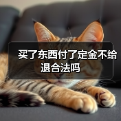 买了东西付了定金不给退合法吗（图3）