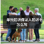 如何撰写单独起诉保证人诉讼文书及责任分析