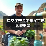 车交了定金不想买了定金能退吗（图1）
