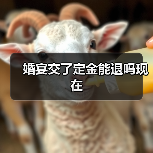 婚宴交了定金能退吗现在（图3）