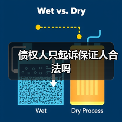 债权人仅起诉保证人是否合法法律解析