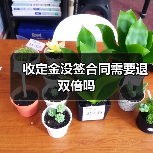 收定金没签合同需要退双倍吗（图1）