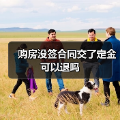 购房没签合同交了定金可以退吗（图4）