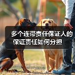 多个连带责任保证人的保证责任如何分担（图3）