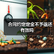 合同约定定金不予退还有效吗（图4）