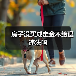 房子没买成定金不给退违法吗（图2）