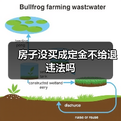 房子没买成定金不给退违法吗（图4）