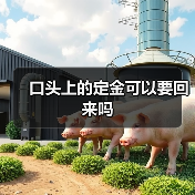 口头定金能否退还？需看实际交付与违约情况