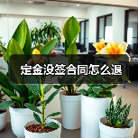 定金没签合同怎么退（图2）