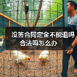 没签合同定金不能退吗合法吗怎么办（图3）