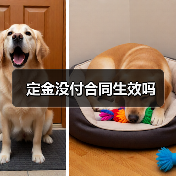 定金没付合同生效吗（图3）