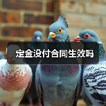 定金没付合同生效吗（图4）