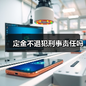 定金不退犯刑事责任吗（图4）