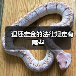 退还定金的法律规定有哪些