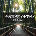 买房定金交了不想买了能退吗?