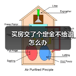 买房交了个定金不给退怎么办（图3）