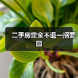 二手房定金不退一招要回（图4）
