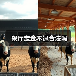 餐厅定金不退合法吗