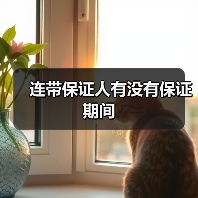 连带保证人有没有保证期间(图1) 连带保证人有没有保证期间(图1)