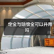 定金与赔偿金可以并用吗(图2) 定金与赔偿金可以并用吗(图2)