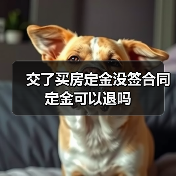 交了买房定金没签合同定金可以退吗(图3) 交了买房定金没签合同定金可以退吗(图3)