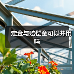 定金与赔偿金可以并用吗(图3) 定金与赔偿金可以并用吗(图3)