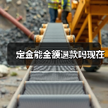 定金能全额退款吗现在（图3）