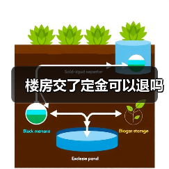 楼房交了定金可以退吗(图1) 楼房交了定金可以退吗(图1)