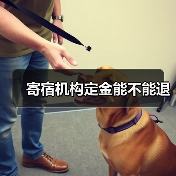 寄宿机构定金能不能退(图4) 寄宿机构定金能不能退(图4)