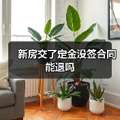 新房交了定金没签合同能退吗(图2) 新房交了定金没签合同能退吗(图2)