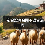 定金没有合同不退合法吗（图2）