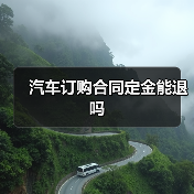 汽车订购合同定金能退吗（图4）