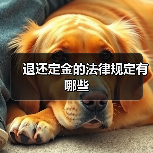 退还定金的法律规定有哪些（图4）