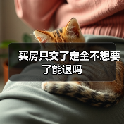 买房只交了定金不想要了能退吗（图4）
