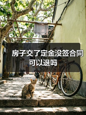 房子交了定金没签合同可以退吗（图3）