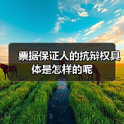 票据保证人的抗辩权具体是怎样的呢(图2) 票据保证人的抗辩权具体是怎样的呢(图2)
