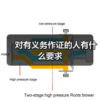 对有义务作证的人有什么要求(图3) 对有义务作证的人有什么要求(图3)