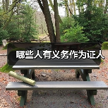 哪些人有义务作为证人(图2) 哪些人有义务作为证人(图2)
