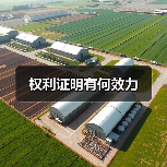 权利证明有何效力(图4) 权利证明有何效力(图4)