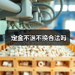 定金不退不换合法吗（图4）