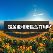 定金能和赔偿金并用吗(图2) 定金能和赔偿金并用吗(图2)