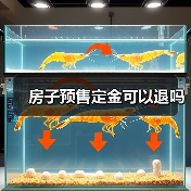 房子预售定金可以退吗（图4）