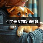 付了定金可以退款吗（图2）